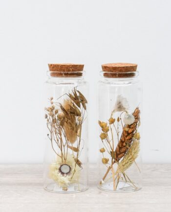 Droogbloemen - Natural Chique Duo