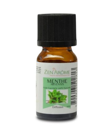 Etherische olie - Mint Arvensis (10ml)